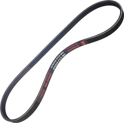 Produktbild von MASTER-SPORT Keilrippenriemen 830mm für NISSAN MICRA III (K12) 4PK830-PCS-MS