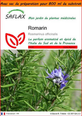 Image de SAFLAX Garden in the bag - Romarin - 100 graines - Rosmarinus