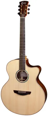 Obrázek produktu pro Faith HiGloss Jupiter Cutaway