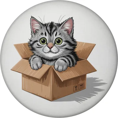 Produktbild von Katze im Karton Magnet für Katzenfans