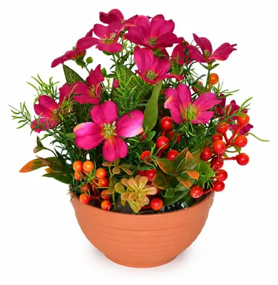 Productafbeelding van Bloempot met frambozenbloemen, diameter 24 cm / 24 cm