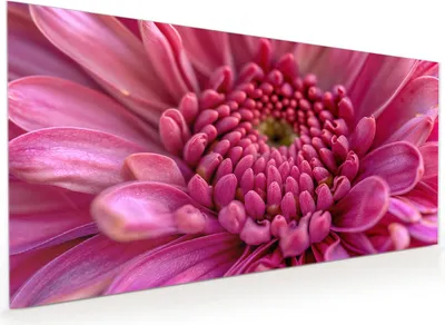 Produktbild von Küchenrückwand Spritzschutz Glas mit Motiv Nahaufnahme Blume 40 x 40 cm