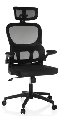 Obrázok produktu pre MyBuero Home Office kancelárska stolička ERGOMY FLEX kancelárska stolička s podrúčkami látka / sieťovina otočná stolička
