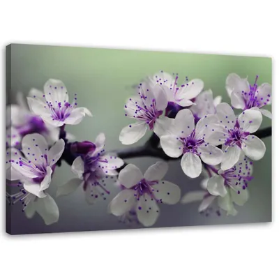 Produktbild von Leinwandbild blumen auf einem baum 90x60 cm Feeby lila wandbild bereit zum aufhängen