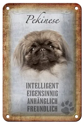 Produktbild von Blechschild Spruch 12x18cm Pekinese Hund Schild