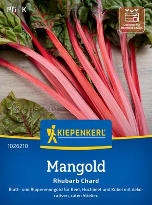 Produktbild von Kiepenkerl Mangoldsamen Rhubarb Chard Beta vulgaris vulgaris flavescens 15 lfd. Meter