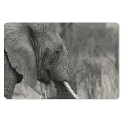 Produktbild von MuchoWow® Schreibtischunterlage Elefant - Tiere - Schwarz - Weiß 60x40 cm - XXL Mauspad - Großes Mauspad