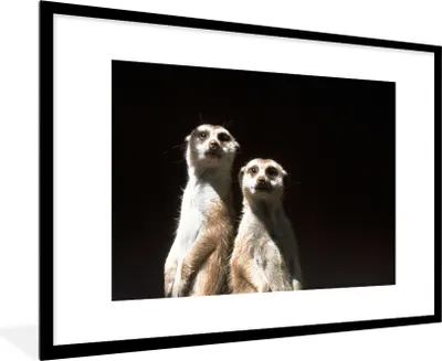 Produktbild von MuchoWow® Gerahmtes Poster Schwarz - Erdmännchen - Tiere 90x60 cm - Poster mit Schwarzem Bilderrahmen Wandposter Rahmen Foto Bilder - Wanddekoration - Fotos