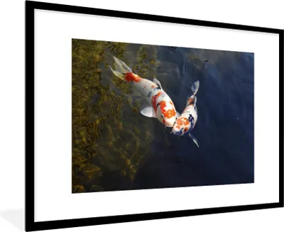 Produktbild von MuchoWow® Gerahmtes Poster Zwei Koi-Karpfen im Wasser 90x60 cm - Poster mit Schwarzem Bilderrahmen Wandposter Rahmen Foto Bilder - Wanddekoration - Fotos