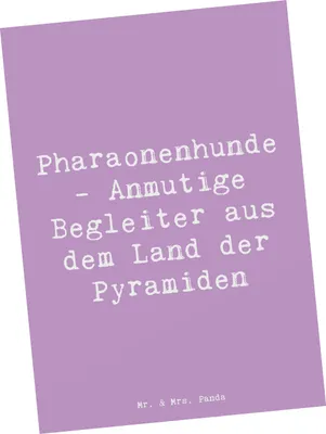 Produktbild von Mr. & Mrs. Panda Postkarte Spruch Pharaonenhund Freunde - Lavendeltraum - Geschenk, Hunderasse, Ansichtskarte, Postkarten, Loyalität, Grußkarte, Treue, sozialer Hund