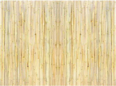 Image de Clôture en bambou roulé naturel Panneau en bambou 1,22 m H x 1,83 m L x 1,9 cm P.