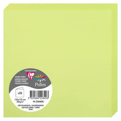 Produktbild von Pollen by Clairefontaine Doppelkarte 135 mm knospengrün 25 Karten
