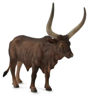 Zdjęcie produktu dla Byk Ankole-Watusi L - Figurka zwierzątka