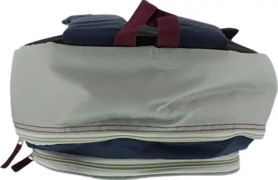 Produktbild von Campingaz 2000011728, 570g, Blau