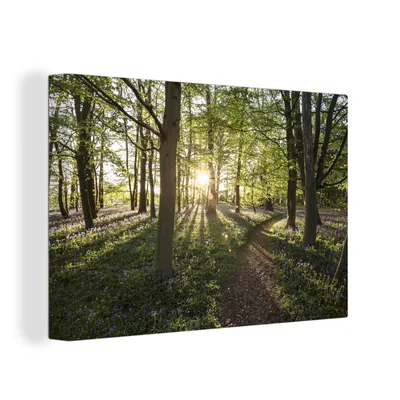 Obrázok produktu pre OneMillionCanvasses® - Maľba na plátne - Obraz na plátne Nástenná maľba na plátne - Les - strom - slnko - 150x100cm - Fotografia na plátne - maľba na