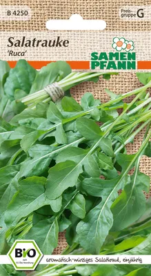 Artikelbild 1 von 'BIO Salatrauke Ruca' aus der Kategorie Rucola- / Raukesamen