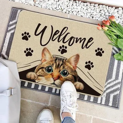 Produktbild von Famanu Fußmatte 40 x 60 cm - Antislip, langlebig, einzigartiges Design