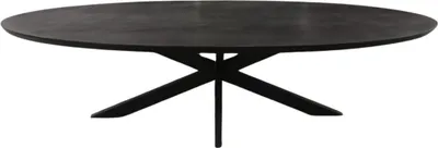 Produktbild von Savion Esstisch , Masse:300 cm x 120 cm