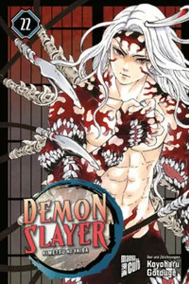 Image de Demon Slayer, Band 22