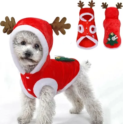 Productafbeelding van Hondenjas, kattenkleding, kleding voor kleine puppy's, hondenkostuum, feestkleding - maat XL