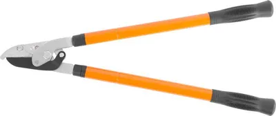 Obrázek produktu pro Nůžky Strend Pro KT3812A, zahradní nůžky, na větve, střih.38, CrV, teleskopické