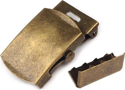 1 Gürtelschnalle mit Endstück altmessing
