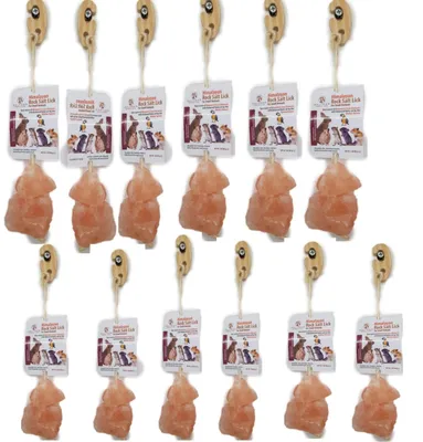 Himalaya Salzleckstein für Kleintiere, 2er-Pack, 86 g, 12 Stück
