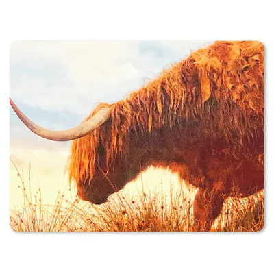 Produktbild von MuchoWow® Mauspad Mousepad Schottische Highlander - Licht - Natur 40x30 cm - Mousepads - Maus Mat - Pad - Mausunterlage - Anti Rutsch