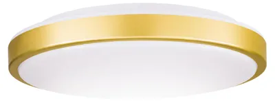Obrázok produktu pre Kruhová LED stropná lampa s elegantným dizajnom pre rôzne miestnosti