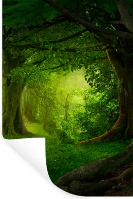 Produktbild von MuchoWow® Wandtattoo Wandsticker Wandaufkleber Bäume - Wald - Grün - Landschaft - Natur 60x90 cm Selbstklebend und Repositionierbar - Sticker - Dekorfolie