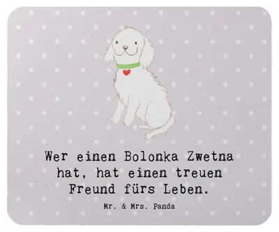 Produktbild von Mr. & Mrs. Panda Mousepad Bolonka Zwetna - Grau Pastell - Geschenk, mousematte, Haustierbindung, treue Begleiter, mauspad laptop, Hundehalter, Hunderassen, Hundeliebhaber