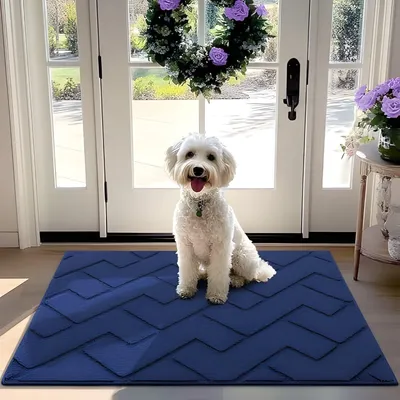 Produktbild von PolkaHome® Innentürmatte Blau Antirutsch Maschinenwaschbar Wasserabsorbierend 80x100 cm