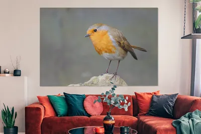 Obrázek produktu pro OneMillionCanvasses® Malba na plátně Nástěnná malba na plátně - Pták - Robin - Rock - 150x100cm