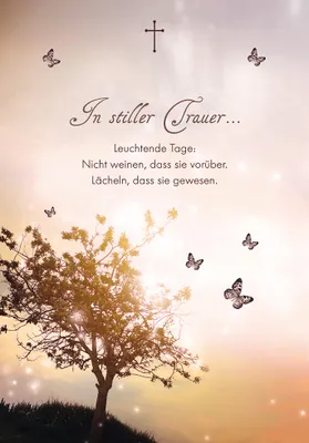 Produktbild von Trauer Beileid Kondolenz Beileidskarte im Format 115x17cm mit Brief