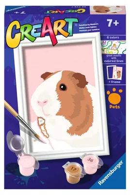 Image de Ravensburger CreArt Peinture sur Numéro - Cochon d'Inde