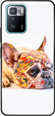 Produktbild von König Design Hülle kompatibel mit Xiaomi Poco X3 GT Kunststoff Soft Handyhülle - Handy Case Bulldogge Bunt