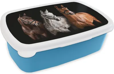 Produktbild von KitchenYeah® Lunchbox Brotzeit Brotdose 17x11 cm Pferde - Tiere - Schwarz Kinder Brotzeitdose - Lunch - Kunststoff  - Brotbüchse - Sandwichbox - Lunchbox für Kinder