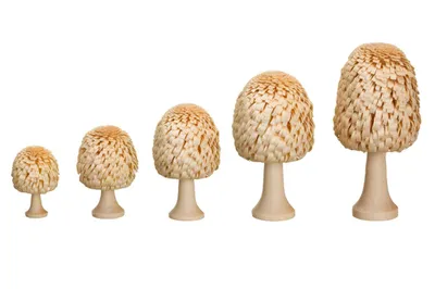 Obrázek produktu pro Ringelbaum listnatý strom s kmenem přírodní dřevěný strom H= 5cm NOVINKA