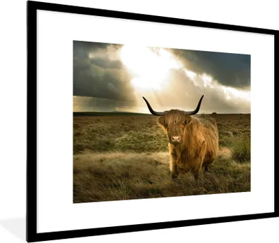 Produktbild von MuchoWow® Gerahmtes Poster Schottischer Hochländer - Sonne - Tiere 80x60 cm - Poster mit Schwarzem Bilderrahmen Wandposter Rahmen Foto Bilder - Schlafzimmer-Dekorationen - Fotoposter