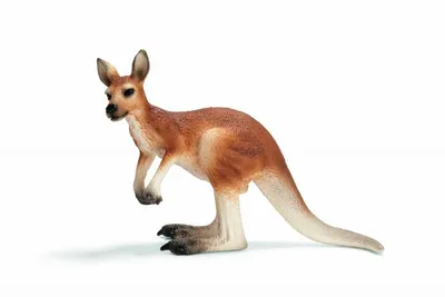 Produktbild von Schleich 14607 - Wild Life, Kängurumännchen