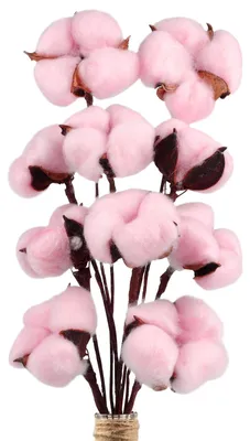 10 getrocknete Baumwollzweige, rosa, 42 cm, für Dekoration