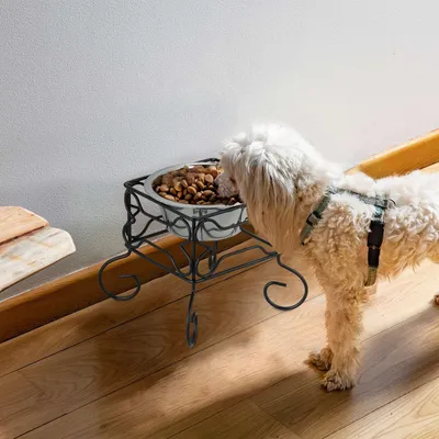 Immagine prodotto di Supporto rialzato per ciotola per cani, acciaio inossidabile da 700 ml