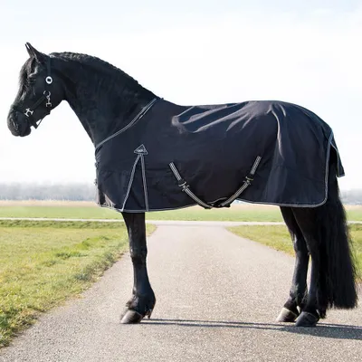 Immagine prodotto di Tappeto QHP Collo Grande 150gr, Colore:Nero, Taglia:165 cm / 7'1