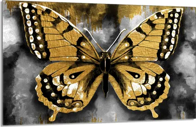 Produktbild von Glasschutzplatte für den Herd 80x52 Butterfly