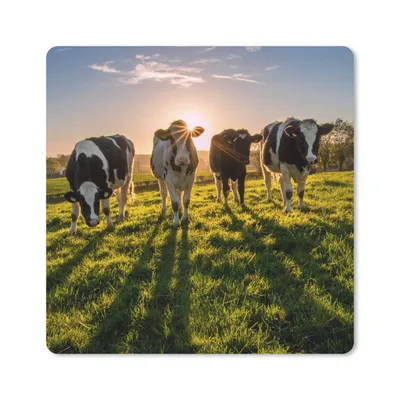 Produktbild von MuchoWow® Mauspad Mousepad Kühe - Sonne - Gras - Tiere - Bauernhof 20x20 cm - Mousepads - Maus Mat - Pad - Mausunterlage - Desk Mat - Bureauartikeln