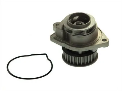 Produktbild von THERMOTEC Kühlmittelpumpe Wasserpumpe für VW Polo Schrägheck (6R1, 6C1) D1W022TT