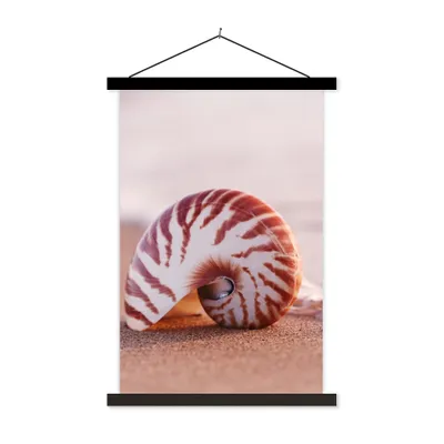 Produktbild von MuchoWow® Textilposter Muschel - Strand - Meer - Sand 120x180 cm mit schwarzem Rahmen - Fotos