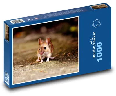 Obrázok produktu pre Puzzle 1000 Malá myška na ceste - martinpuzzle