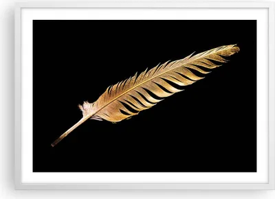 Produktbild von Gerahmtes Poster - Weißer Rahmen - Golden Feder Schwarz - 70x50 cm - Wand Bild - Wanddeko - Wandbilder - Kunstposter - Wandposter - Bilderrahmen - Bilder - Kunstdruck - P2WAA70x50-4887