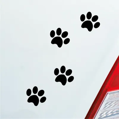 Produktbild von Auto Aufkleber Pfoten Paws Dog Hund Haustier Tier Pfote Paw 8x10 cm Schwarz Glanz Sticker Heckscheibenaufkleber